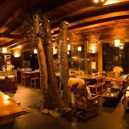 Cabana & Loft El Laurel Temuco Ngoại thất bức ảnh